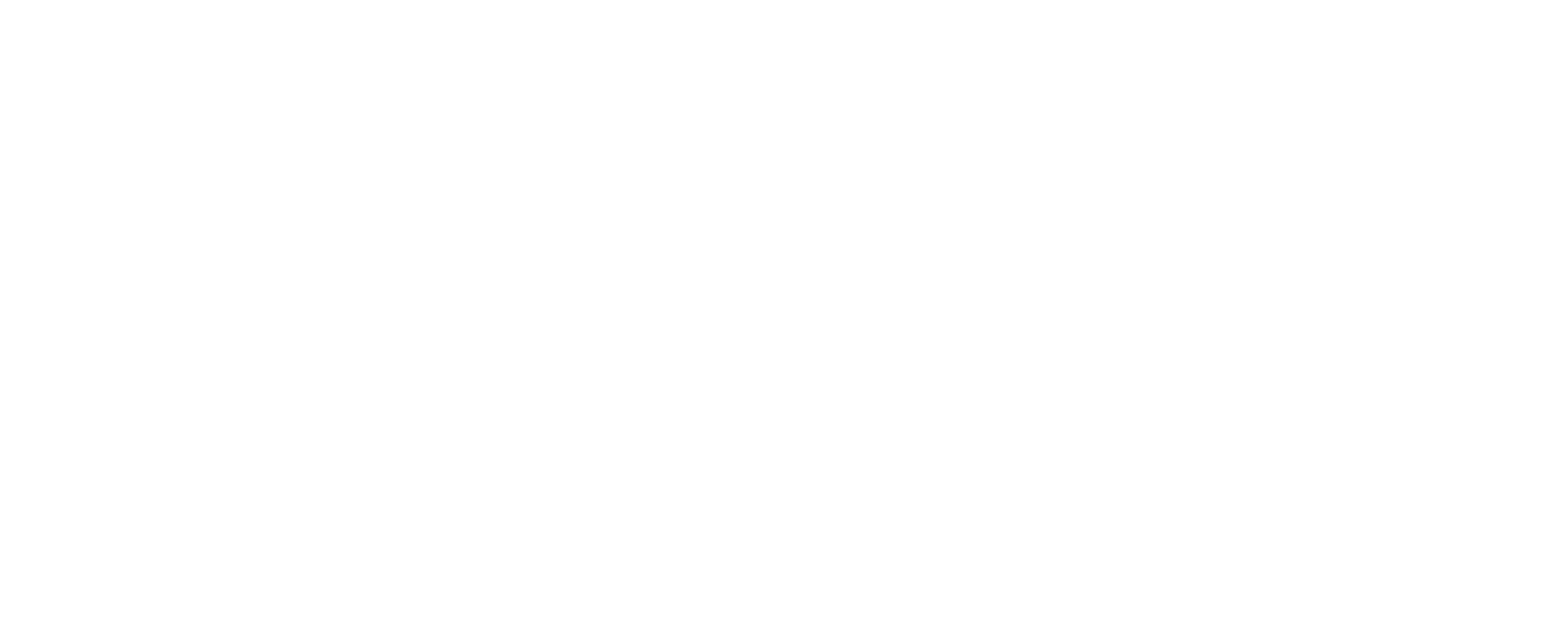 Lions Intelligence